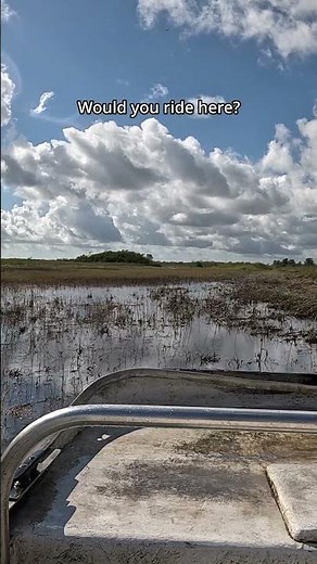 Gliding Through the Everglades… Gator Country in Florida