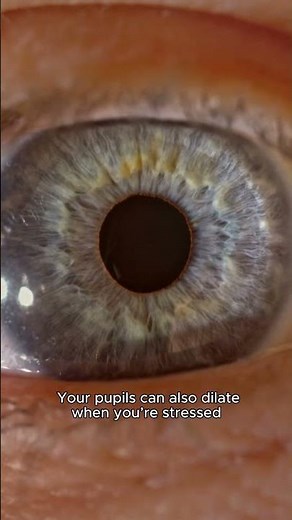 Dialating Pupils
