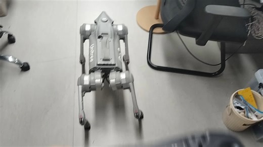 【开源】实物部署用Genesis训练的四足行走策略