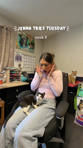 What an incredible experience🥺 I want them all to get homes🤍 @Tiffany Chaos, Dogs, & Love #animalrescue #jennatriestuesday #jennatries