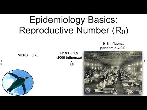 Epidemiology Basics: Reproductive Number (R0)
