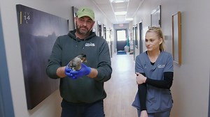 When they're not saving animals, they're working to save their community. A new episode of Heartland Docs airs Saturday at 8/7c. | National Geographic Animals