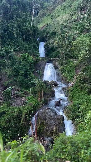 Nature’s Refill 🇯🇲 📍Johnson Spring Falls , Spring Hill, Portland, Jamaica [ 🎥 @blue_mount_view ] | Portland Jamaica