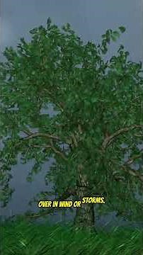 How Trees Use Geometry to Grow 🌳 #shorts #math #tree