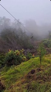Adventure awaits above the treetops 🌿✨​ Experience Hawai‘i like never before with Skyline Hawai‘i, where you’ll soar across lush valleys, take in sweeping island views, and feel the rush of ziplining through the paradise of Maui. ​ Save this post and add Skyline Hawai‘i to your next island itinerary. ​ 📍 Location: Skyline Hawai‘i – Haleakalā Zipline Tours​ 📸 Credit: Skyline Hawaii​ #VisitMaui | Hawaii – gohawaii.com