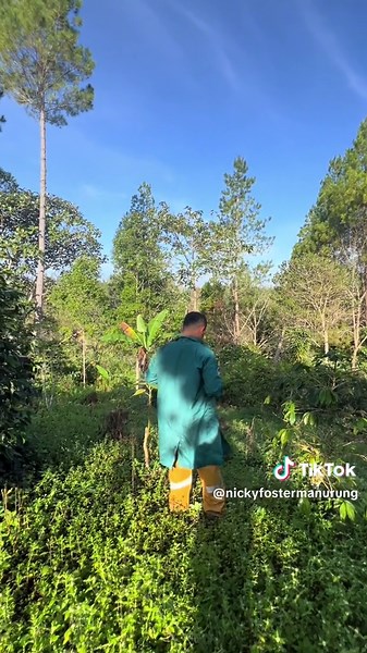 Nickyfostermanurung on TikTok