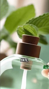 How Can You Safely Get Rid of Rats Without Using Poison?