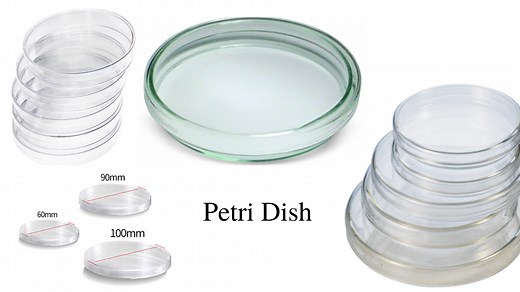 Petri Dish: Types, Uses, and Automated Petri Dish Filler • Microbe Online