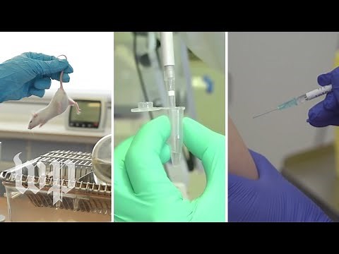A step-by-step look at how new vaccines are made and approved