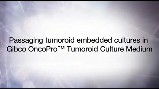 Passaging tumoroid embedded cultures in OncoPro Tumoroid Culture Medium - Scientific Videos | Thermo Fisher Scientific US