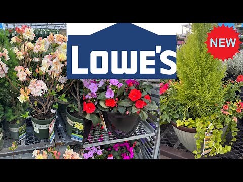 LOWE'S NEW PLANTS ARRIVAL | HOW TO MAKE YOUR GARDEN BEAUTIFUL? LOWE’S GARDEN CENTER
