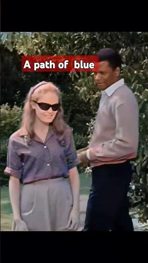A patch of blue 1965 colorised