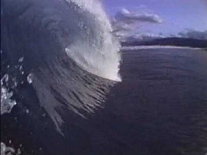 Intel Play / Digital Blue Digital Movie Creator all stock videos