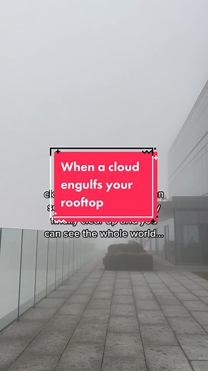 NYC High Life on TikTok