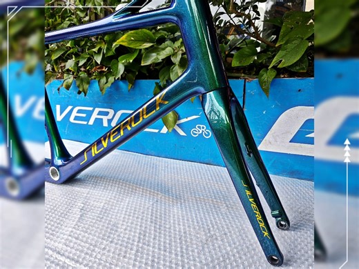 好大哥，您的车快装好了。定制变色龙涂装禧玛诺105 12速变速大套silverock 50mm框高碳纤维轮组