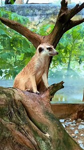 9.3K views · 1.1K reactions | Disfruta de un paisaje lleno de...