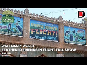 Feathered Friends in Flight Full Show | Disney's Animal Kingdom | April 2024