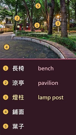 📷 Learn five words with one picture 📸 生活一張圖，學五個字 #1030｜