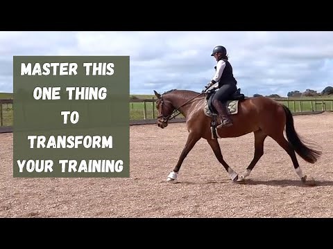 Master This ONE Thing for Better Horse Training!