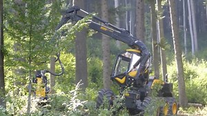 Unmatched Power of the Ponsse Scorpion King in Forest Harvesting