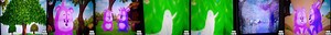 Bim and Bam In the Animal World _ Pigeon(360P).mp4
