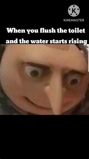 funny memes 🤣✴️