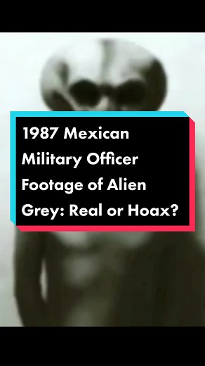1987 Mexican Military Officer Footage of Alien Grey: Real or Hoax? #alien #aliensighting #area51 #conspiracytiktok #paranormaltiktok #paranormalvideos #ufovideostk