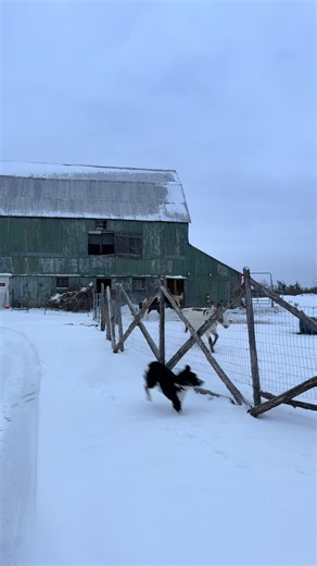A very Happy Halloween (from Michael. And a safe & happy New Year from the rest of us❤️ - Karen & Michael’s resolutions on yt&fb)