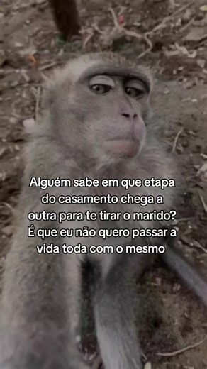 😶‍🌫️ on Instagram