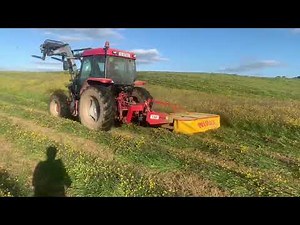 Mccormick Cx90 Mowing Hay