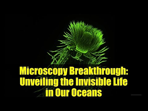 Microscopy Breakthrough: Unveiling the Invisible Life in Our Oceans