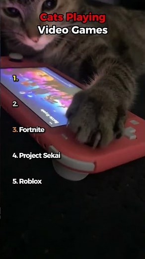 Cats Playing Video Games 🎮😹