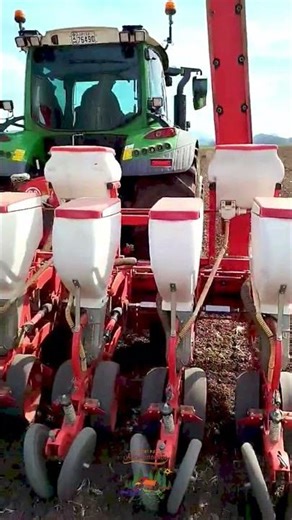 Σπορά Φασολιών – Γηγενής Τοπική Ποικιλία | Βιολογική Γεωργία