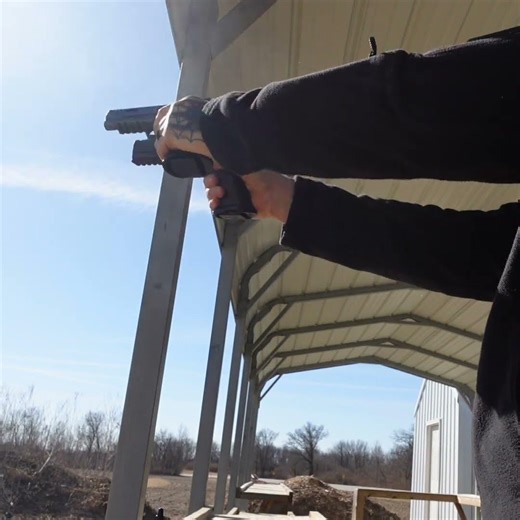 Dual Wielding Stealth Arms Platypuses #shorts