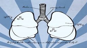 Maybeshewill - Last Time This Year