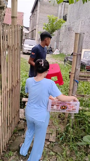 Ngonten di kebon | Diwong