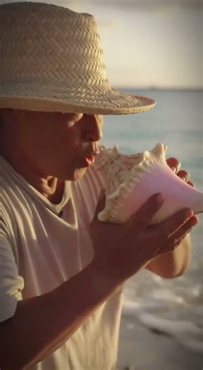 Conch Trumpet Mouthpiece Drilled in 10s | ASMR Sea Horn