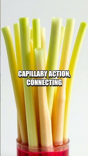 Five At-Home Experiments to Spark Real-World Science