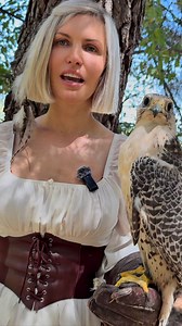 5.6K views · 2.8K reactions | #falcong #passeggiatewild #abruzzo #italwild #falconry #life #falcon #giovannigranati #athenajitariuc | Falcong | Facebook
