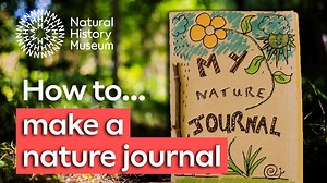 How to make and use a nature journal to record your wildlife observations | Natural History Museum