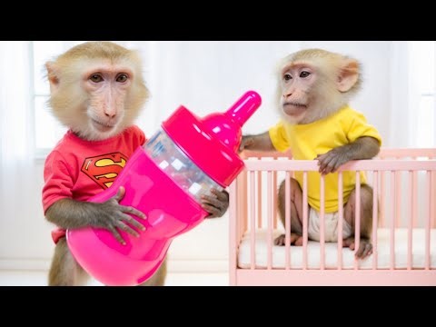 🔴 YaYa Let's Go Live 24/7 | Monkey Baby YaYa Farmer YaYa obedient take care of her friends