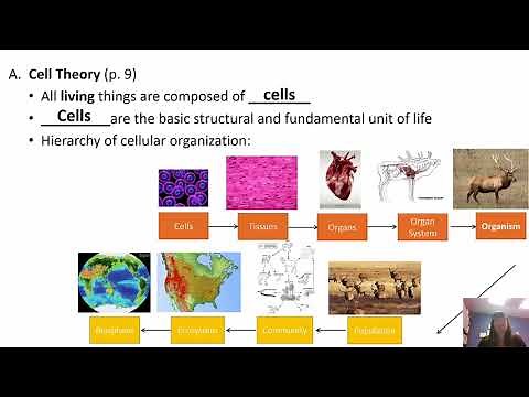 Biology The Study of Life Chapter 1 BI 114