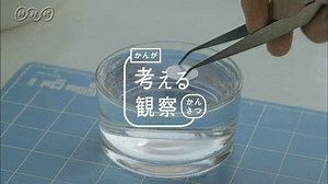 ＃２ | 考えるカラス～科学の考え方～ | NHK for School