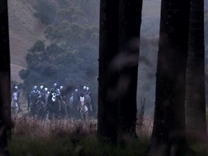 Powerade: The power of blue blood • Ads of the World™ | Part of The Clio Network