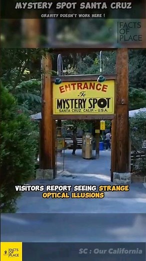 Mystery Spot Santa Cruz Strange Gravity on Earth ! #shorts #mysteryspot #viralshorts #trending