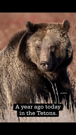 1K views · 33 reactions | Michael Rutter on Reels | Facebook