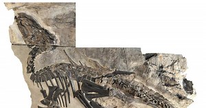 Un trésor exceptionnel de 11 fossiles de dinosaures découvert en Italie