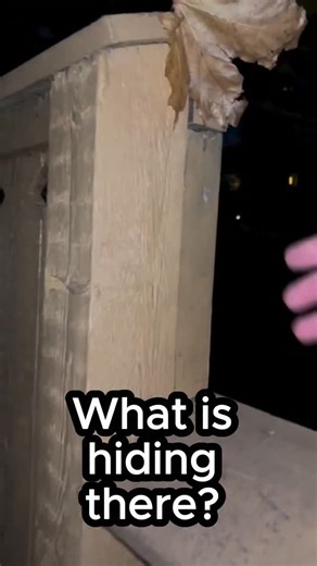 Geocaching on Instagram: "🕵️‍♀️ Nothing is what it seems when you know about geocaching. 🕵️‍♀️ Which hiding spot is your favorite? Video: The first video shows a fence. A hand removes a small piece of wood attached to it, revealing a geocache inside. The next clip shows a road sign. A hand flips the sign open to reveal another cache. The following video shows a drain. A hand pulls a cord, bringing up a bison tube. Next, a traffic sign opens like a box, revealing a cache inside. The last clip s