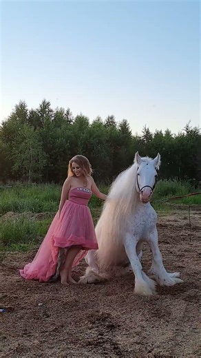 🤩Photo magic | #horse #equestrian #photography #horsegirl #beauty #photographytips #horsephoto