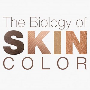 Interactive Exploration of How We Get Our Skin Color